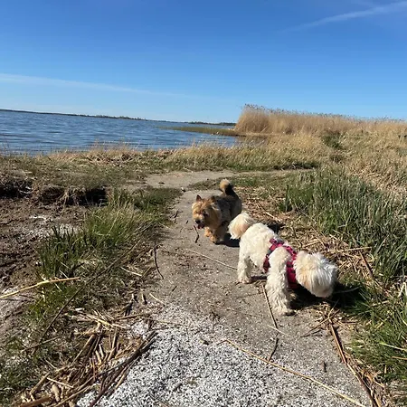 Achterhus Usedom - Idyllisches Ostsee Am Achterwasser Daire Zempin